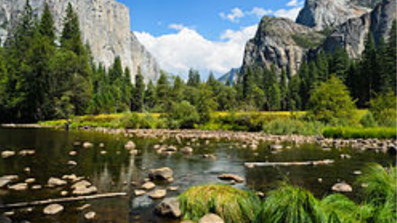 Công viên Quốc gia Yosemite