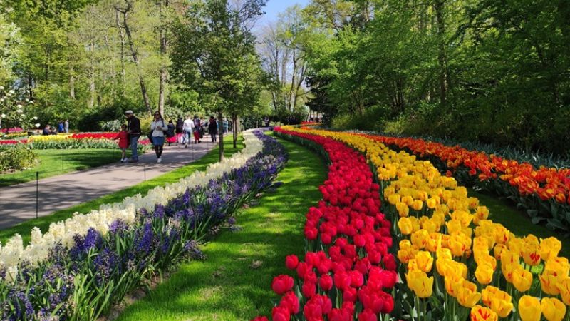 Keukenhof, Lisse Lisse, Hà Lan