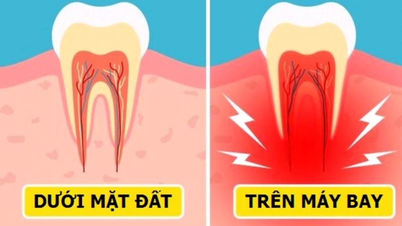 Miệng biến đổi như thế nào khi ở trên máy bay