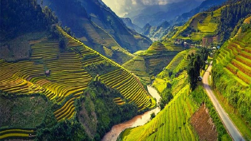 Thung lũng Hoàng Su Phì – Hà Giang