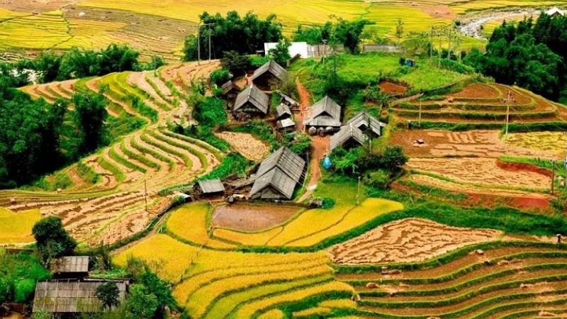 Thung lũng Mường Hoa – Sa Pa, Lào Cai