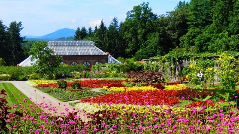 Vườn bách thảo sa mạc Phoenix, Arizona, Hoa Kỳ