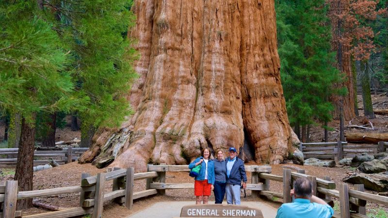 Điều tuyệt vời để làm tại công viên quốc gia Sequoia và công viên quốc gia Kings Canyon